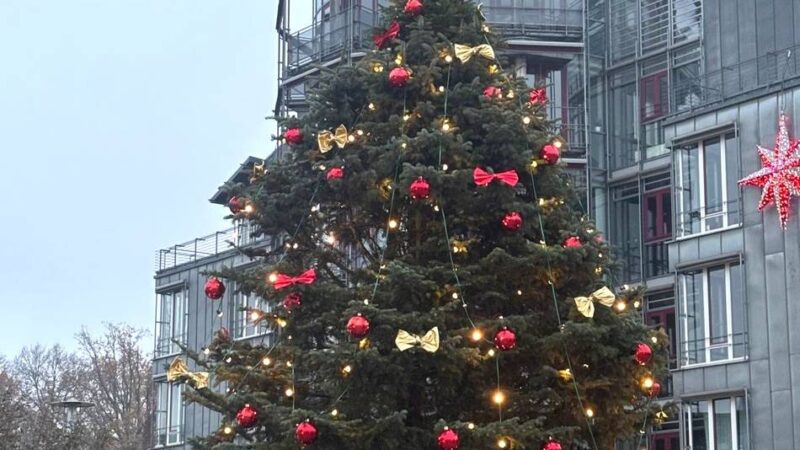 Dank „Weihnachtsfetischist“ Frank Jülich: Der Kaarster Weihnachtsbaum hat seine Spitze zurück