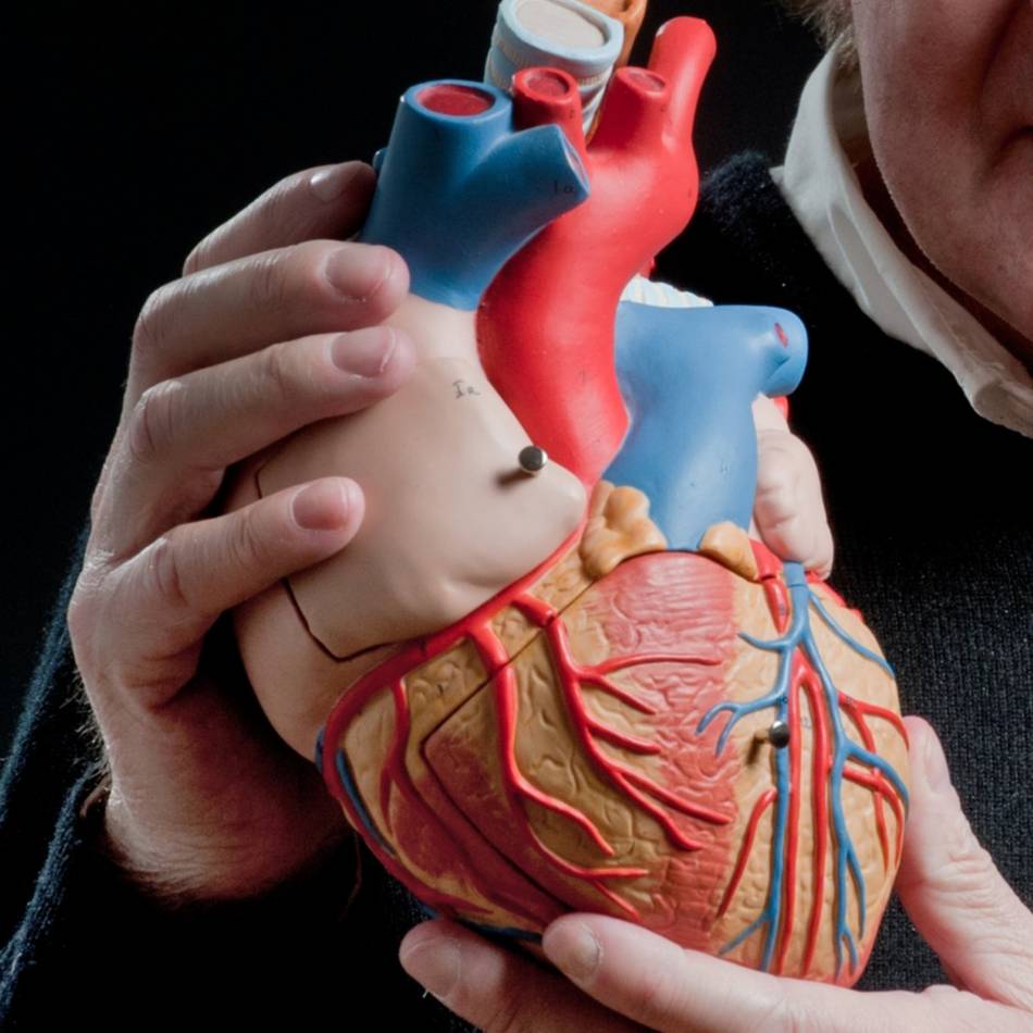 Herzseminar in Kempen: „Frauen kommen oft viel zu spät ins Krankenhaus“