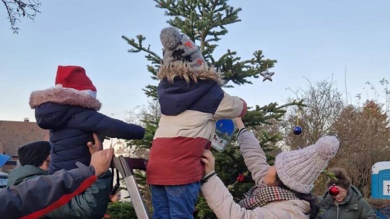Projekt von Bürgeraktion in Orken: Weihnachtsbaum in Grevenbroicher Park wird geschmückt