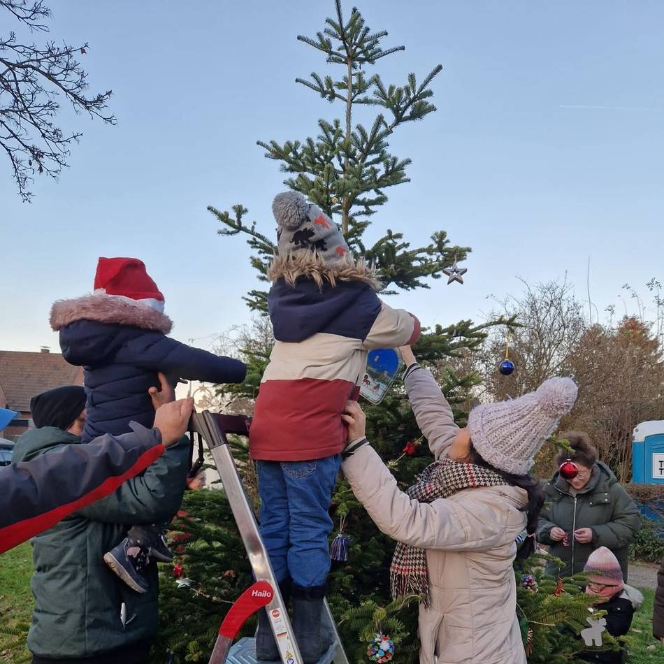 Projekt von Bürgeraktion in Orken: Weihnachtsbaum in Grevenbroicher Park wird geschmückt