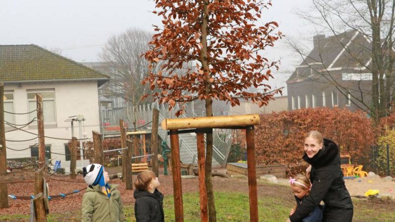 Aktion in Heiligenhaus: Neues Grün für die Caritas-Kita St. Josef
