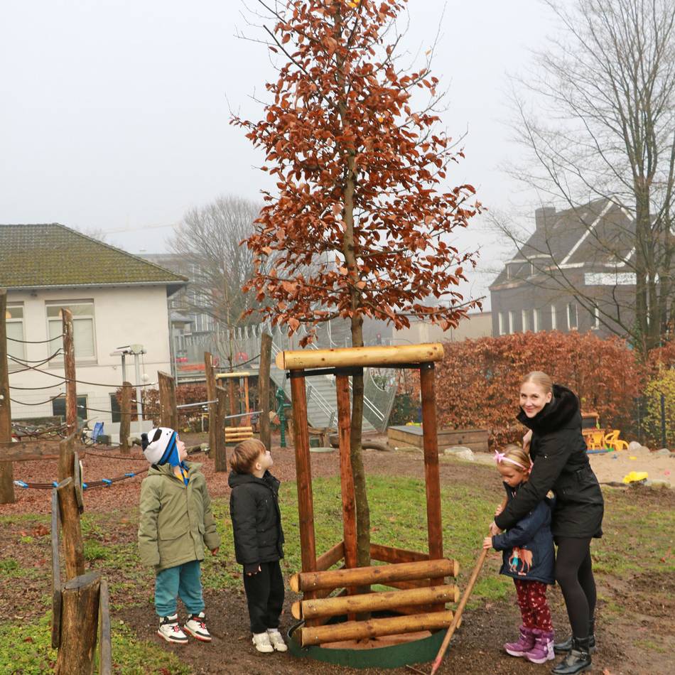 Aktion in Heiligenhaus: Neues Grün für die Caritas-Kita St. Josef