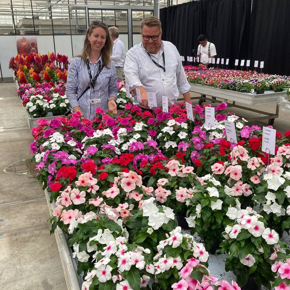 IGA 2027 : Zwischen Struktur und Stauden