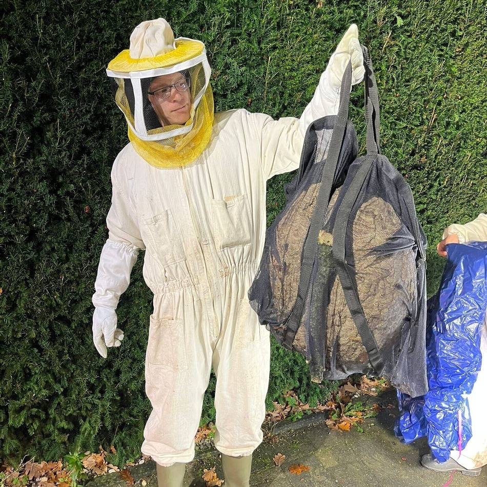 Einsatz in Emmerich-Elten: Erneut Nest von Asiatischer Hornisse aus Baum geholt