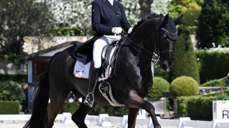 Erfolg in der Dressur: Nettetaler Reiterin bekommt Goldenes Reitabzeichen