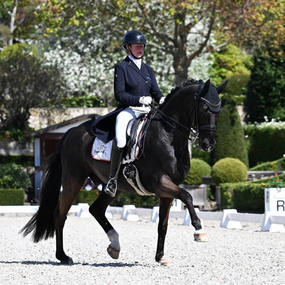 Erfolg in der Dressur: Nettetaler Reiterin bekommt Goldenes Reitabzeichen