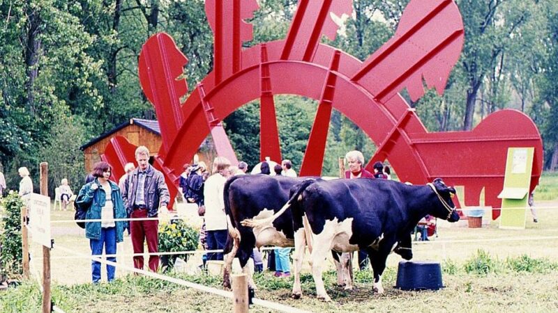 50 Jahre Grevenbroich: Zeitreise durch die Stadtgeschichte