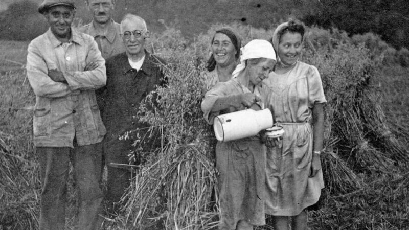 Sieben Fakten über Heide und Umgebung: In Heide ging ein altes Haus auf Wanderschaft