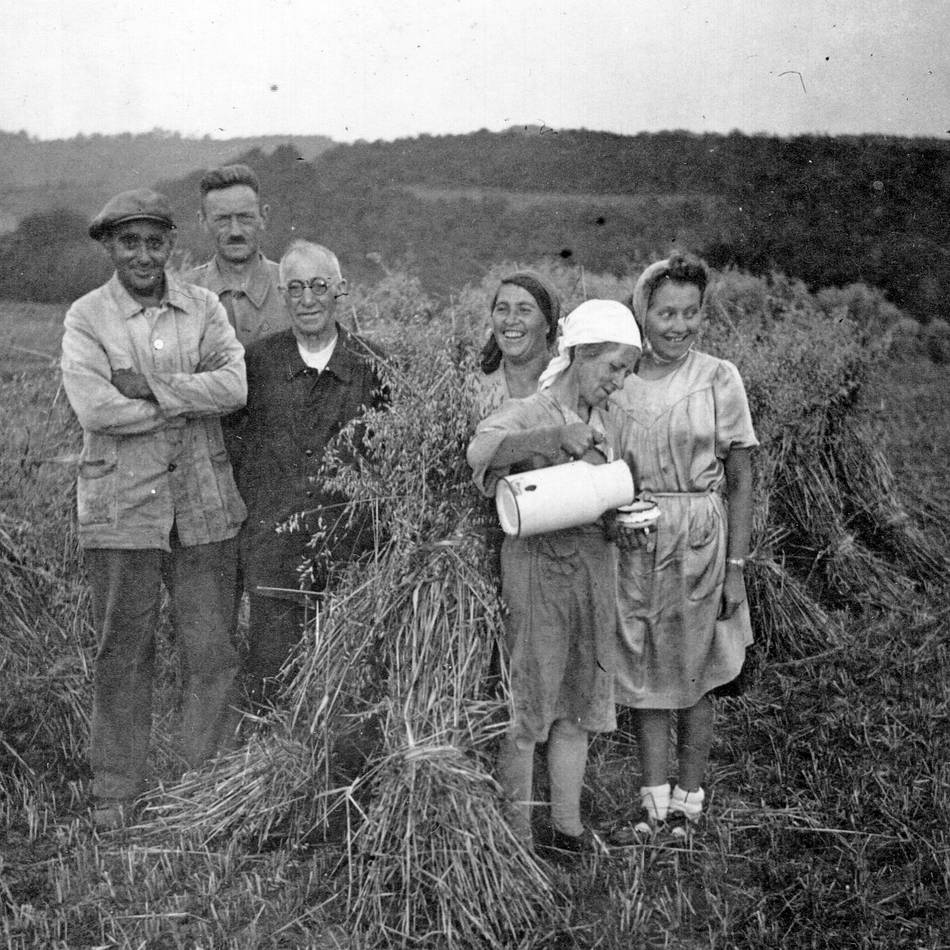Sieben Fakten über Heide und Umgebung: In Heide ging ein altes Haus auf Wanderschaft