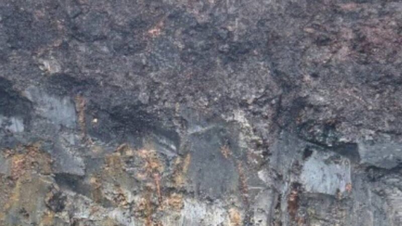 Spuren menschlicher Einflüsse im Boden: Torfschicht im Salbruch nicht mehr so dick wie in den 1980er-Jahren