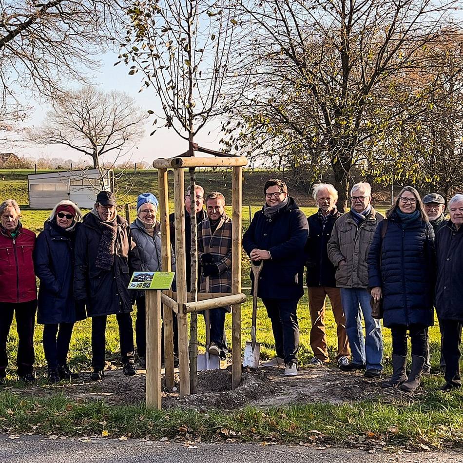 Baum des Jahres in Straelen: SPD setzt Route der Jahresbäume in Auwel-Holt fort