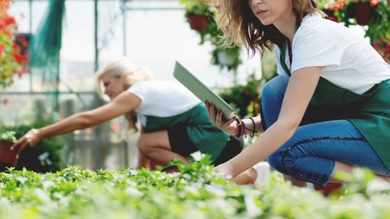 Neue Plattform für Gartenbau in der Region: Ministerin Silke Gorißen eröffnet erste Fachtagung Gartenbau im Kreis Kleve