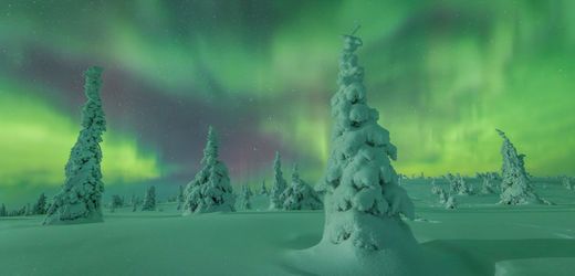 »Northern Lights Photographer of the Year«: So strahlten die Polarlichter in diesem Jahr