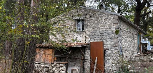 Italien: Sorgerechtsstreit um isolierte »Waldfamilie« in den Abruzzen