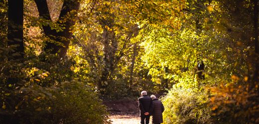 Rente, Gesundheit, Pflege: Wirtschaftsverband der Grünen fordert umfassende Sozialreformen