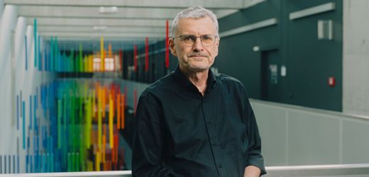 Hoch verarbeitete Lebensmittel: Dresdner Forscher sieht keinen Beweis, dass sie der Gesundheit schaden