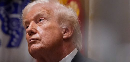 Donald Trump: »In einer für den Populismus typischen Weise wird die Welt auf den Kopf gestellt«