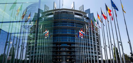 Ukraine: Sicherheitsbedenken wegen AfD-Abgeordnetem bei EU-Delegation