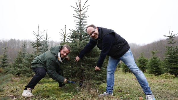 Tannen selbst schlagen: Hier werden Velberter und Heiligenhauser fündig