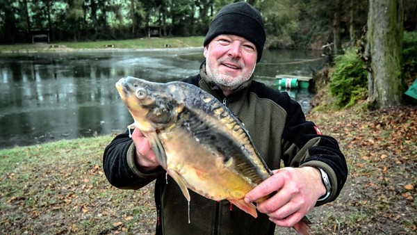 Die Tradition lebt: Ansturm auf Silvester-Karpfen aus Velberts Teichen