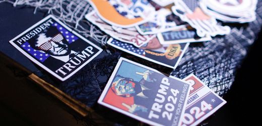 USA-Ausflug der AfD kostet Steuerzahler Tausende Euro