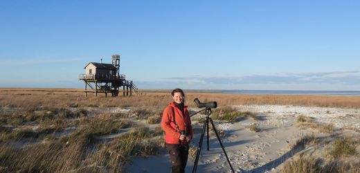 Nordsee: Naturschutzwartin Mareike Espenschied über ihre Zeit auf der Insel Trischen