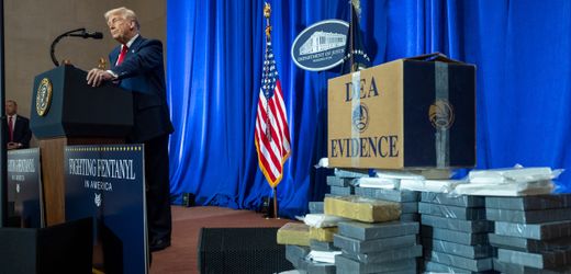 USA: »Das traditionelle Trump-Amerika hat ein riesiges Drogenproblem«