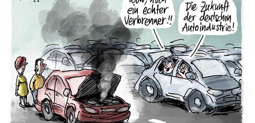 Cartoons der Woche: Unter der Haube