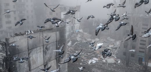 Ukraine: Trumps neuster Friedensplan soll den Donbass preisgeben