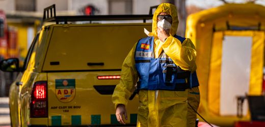 Schweinepest-Ausbruch gefährdet Spaniens Milliardengeschäft mit Fleisch