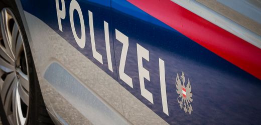 Wien: Sechsjährige rettet Familie mit SOS-Handzeichen vor Entführung