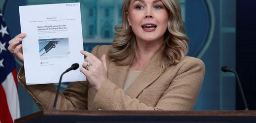 USA/Donald Trump: Weißes Haus startet Portal gegen kritische Medien