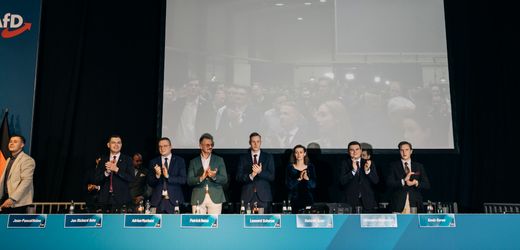 AfD-Jugendorganisation: Wieso die AfD mit der »Generation Deutschland« zwei Fehler macht