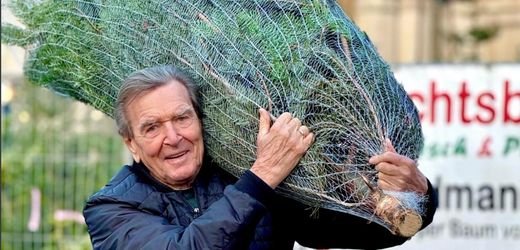 Gerhard Schröder: Altkanzler schultert Tannenbaum