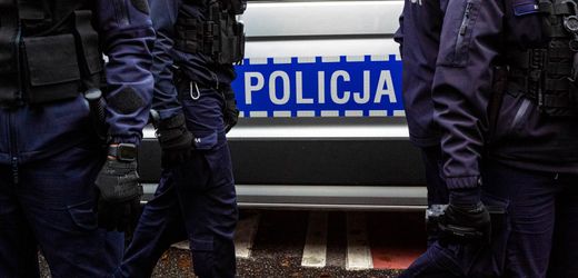 Polen: Russischer Archäologe wegen mutmaßlicher Ausgrabungen festgenommen