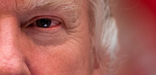 Donald Trump: Der Verderber der Demokratie