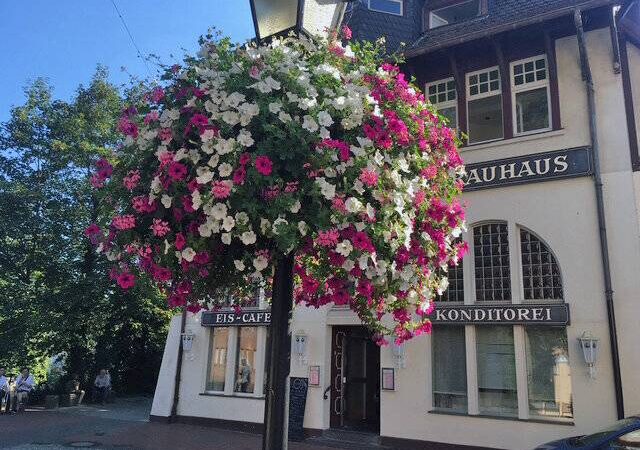 Aktion in Moers: „Bürgerblumenampeln“ sollen Innenstadt zum Blühen bringen