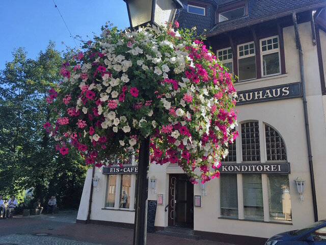 Aktion in Moers: „Bürgerblumenampeln“ sollen Innenstadt zum Blühen bringen