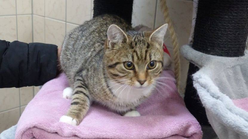 Tier der Woche: Tim und Tina sind lieb, aber ängstlich