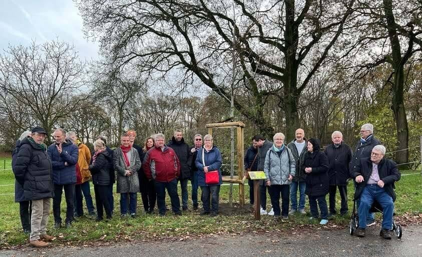 Baumprojekt in Auwel-Holt vollendet: Roteiche ergänzt Allee und schließt Pflanzreihe ab