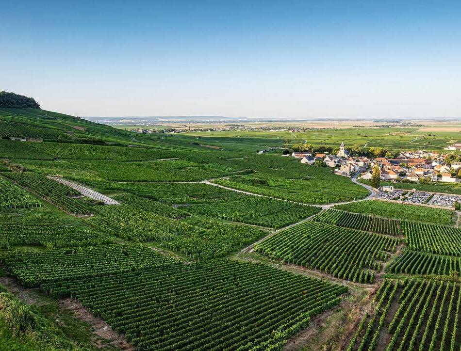 Sekt aus bekannter Winzer-Region: Neusser gründet Online-Handel für Champagner