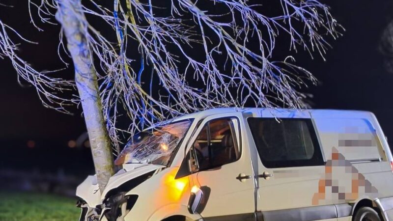 Unfall in Kranenburg: Auto prallt gegen Baum – Feuerwehr muss ihn fällen