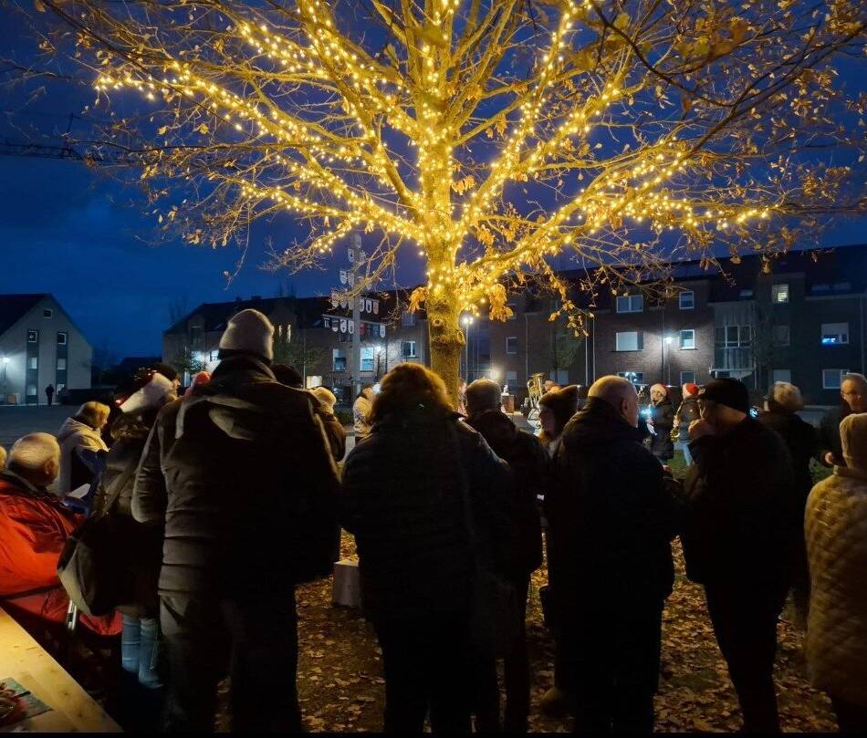 Premiere für Weihnachtsbeleuchtung: Immerath feiert ersten Eichenzauber