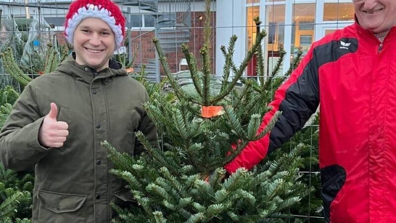 Weihnachtsbäume und Krippenspiel: Gocher Stadion wird im Dezember zweimal weihnachtlich