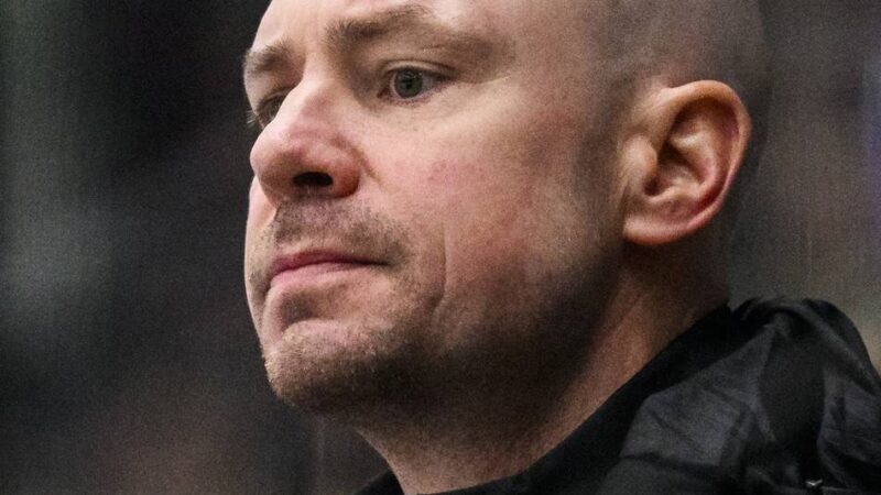 Neue Aufgabe in Nordamerika: Ex-DEG-Trainer Reinprecht kehrt in die NHL zurück