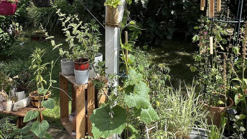 Nettetaler Garten gewinnt Wettbewerb: Leidenschaft auf jedem Quadratmeter