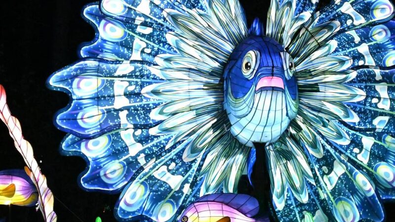 Leuchtkunst im Tiergarten: 50.000 Menschen besuchten die China Lights in Kleve