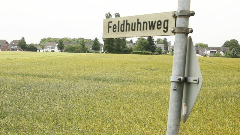 Wohnbebauung in Wittlaer: Stadtwerke Duisburg verklagen Stadt Düsseldorf auf Erschließung