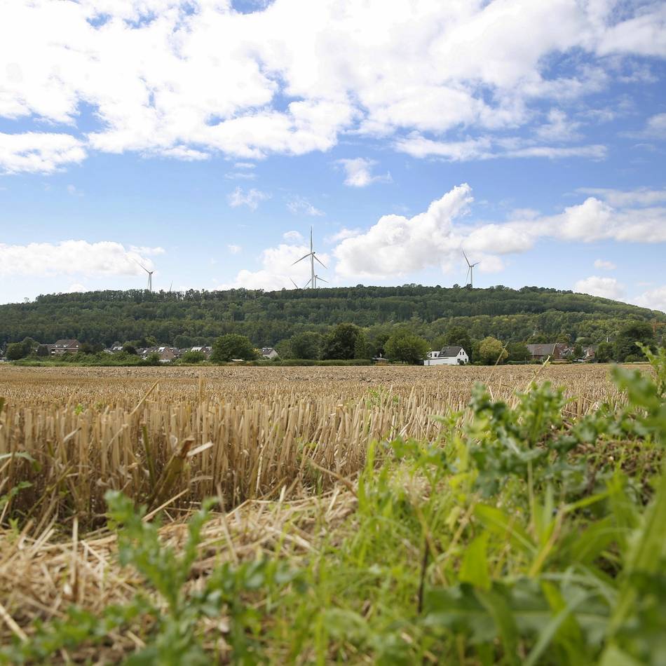 Der größte Berg von Grevenbroich: Vollrather Höhe als Lern- und Erlebnisraum?