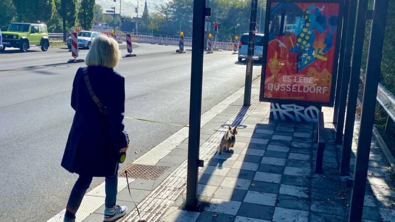 ÖPNV in Düsseldorf: Kontingent für neue Wartehäuschen ist erschöpft